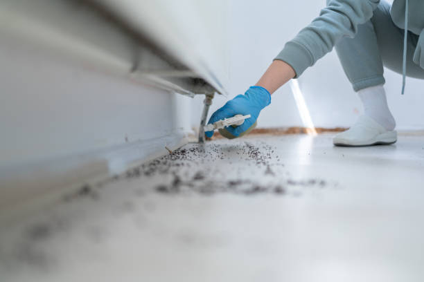 Best Pest Removal Services  in Jamestown, CA